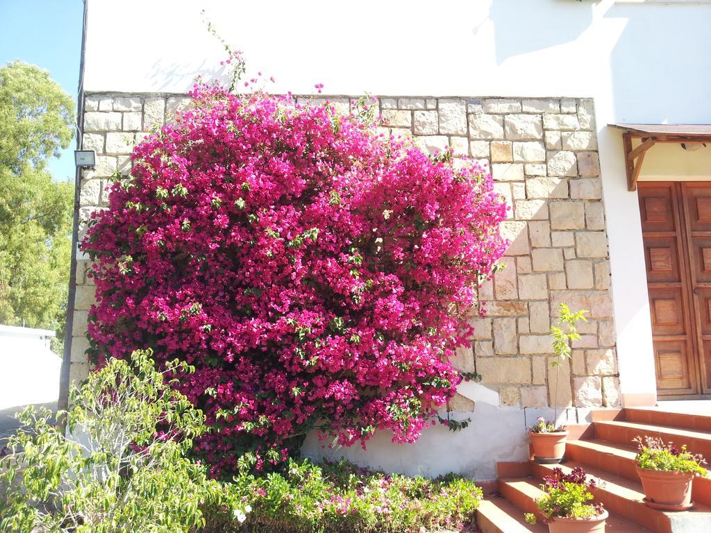 Bed & Breakfast Al Sole Di Pula
